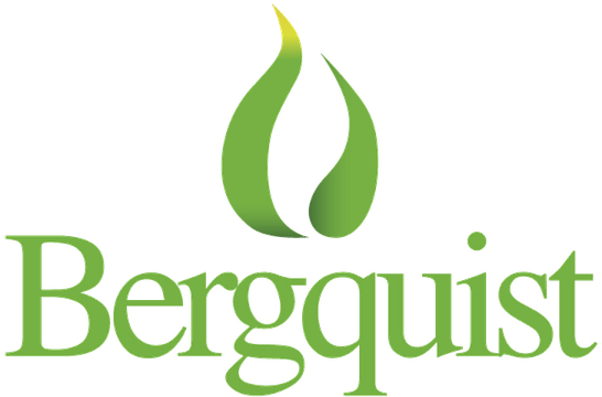 Bergquist